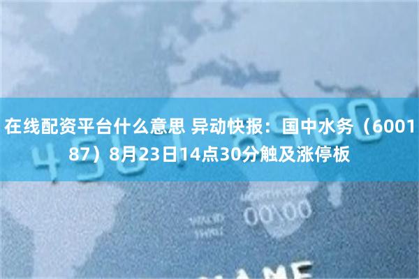 在线配资平台什么意思 异动快报：国中水务（600187）8月