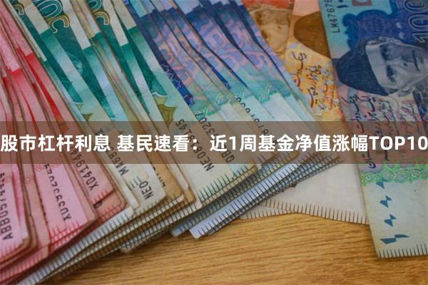 股市杠杆利息 基民速看：近1周基金净值涨幅TOP10