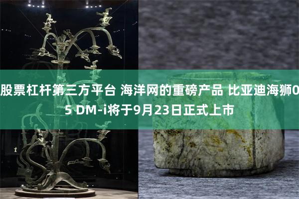 股票杠杆第三方平台 海洋网的重磅产品 比亚迪海狮05 DM-