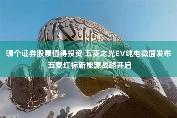 哪个证券股票值得投资 五菱之光EV纯电微面发布 五菱红标新能