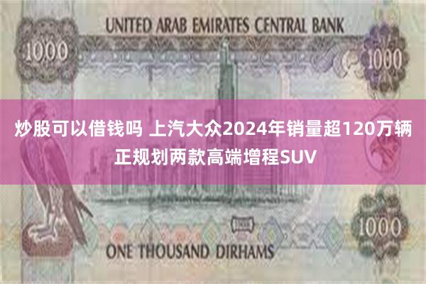 炒股可以借钱吗 上汽大众2024年销量超120万辆 正规划两