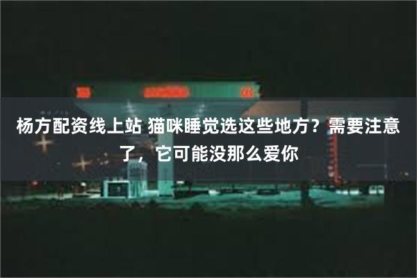 杨方配资线上站 猫咪睡觉选这些地方？需要注意了，它可能没那么