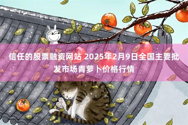 信任的股票融资网站 2025年2月9日全国主要批发市场青萝卜价格行情