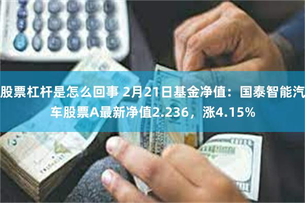 股票杠杆是怎么回事 2月21日基金净值：国泰智能汽车股票A最