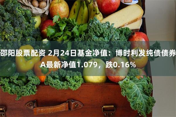 邵阳股票配资 2月24日基金净值：博时利发纯债债券A最新净值